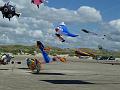 Fanø 2010 033